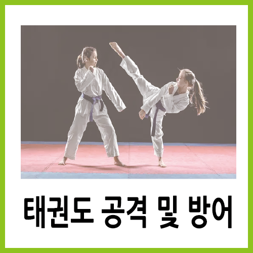  구인구직 시잡인