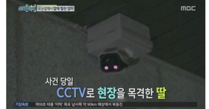  칼부림 현장보고 도망가는 경찰관