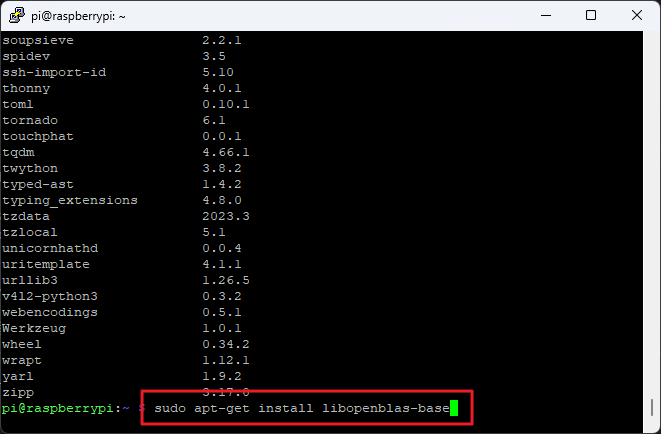 라즈베리파이에서 `numpy`와 `pandas` ImportError 해결하기: `libopenblas` 설치 방법