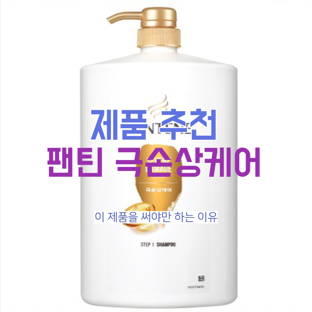  손상된 모발을 케어 해주는 향이 좋은 샴푸 : 팬틴 극손상 케어 내돈내산 추천