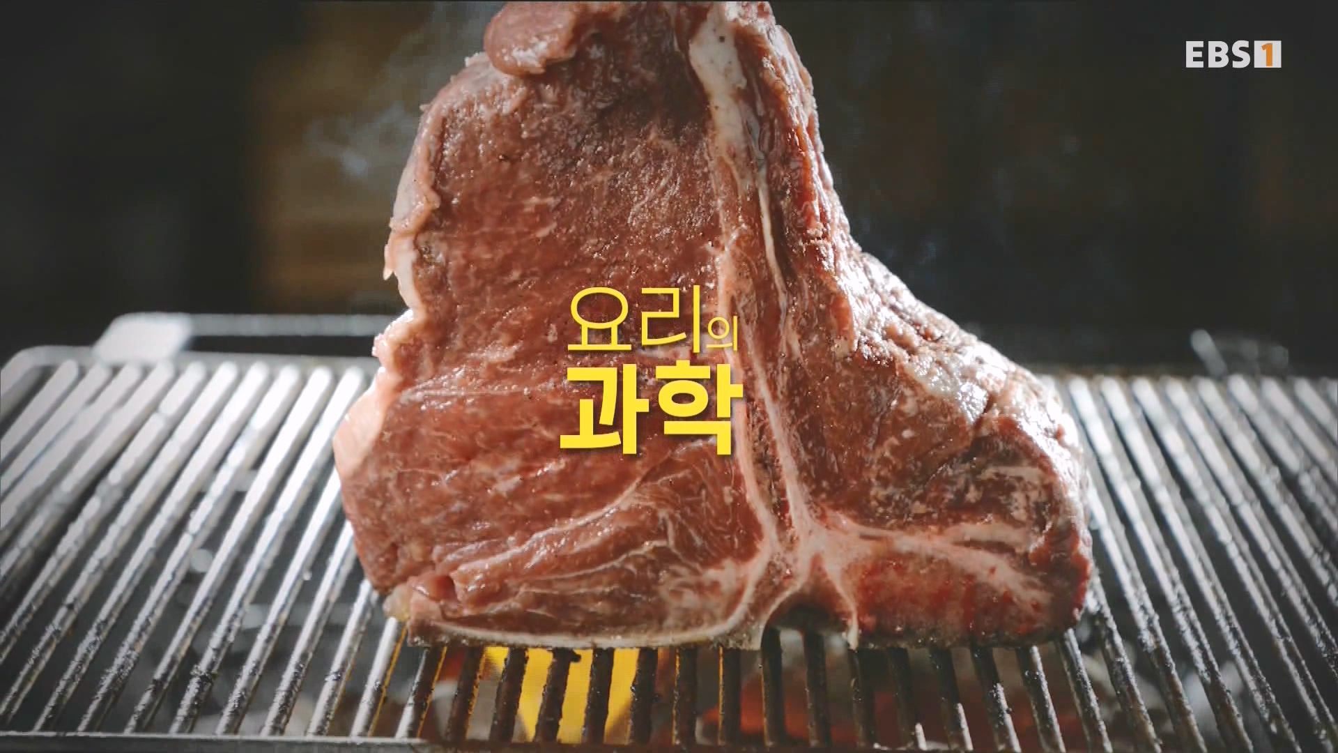 [다큐 스페셜] 요리의 과학 - 1부 열.mp4_20240411_192250.321.jpg