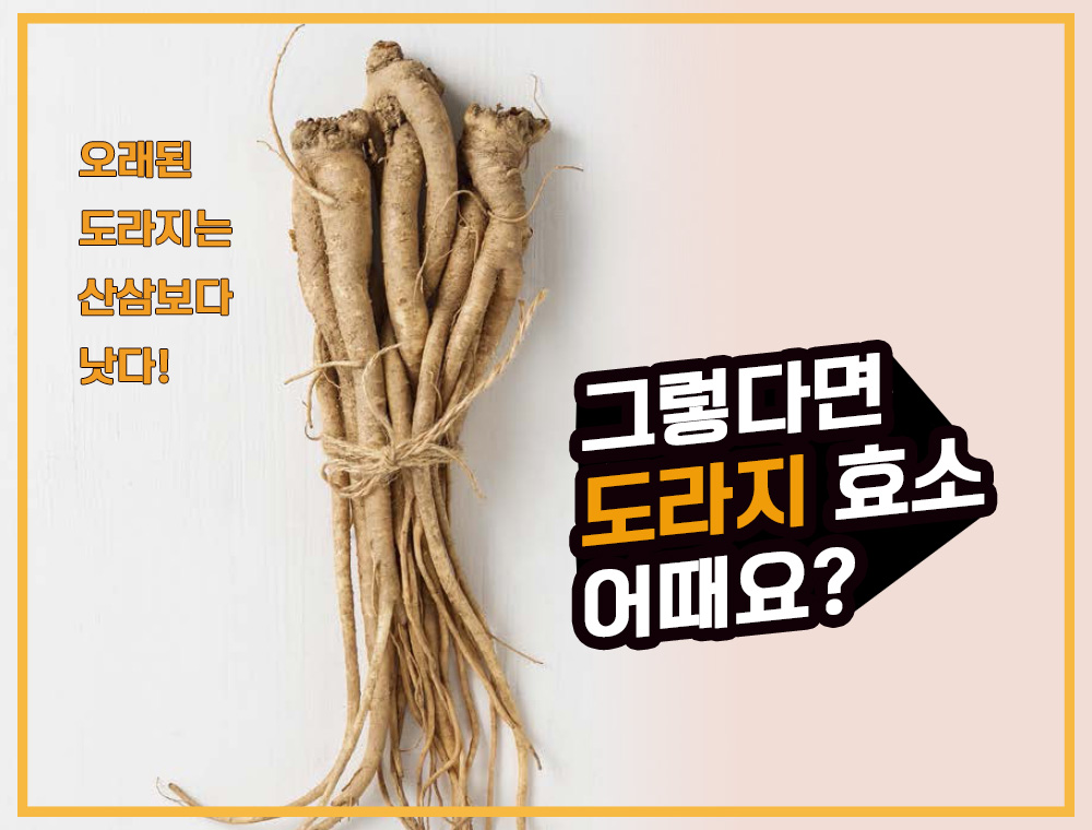  도라지의 효능! 도라지의 효능을 효소로! 도라지 효소 만드는 방법은? With 도라지 섭취시 부작용은?