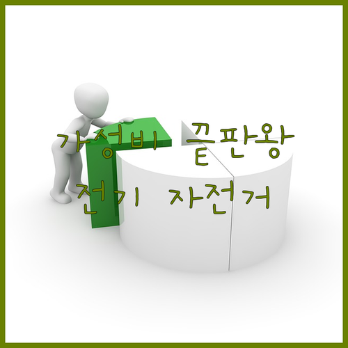 예산으로 즐기는 20인치 접이식 전기