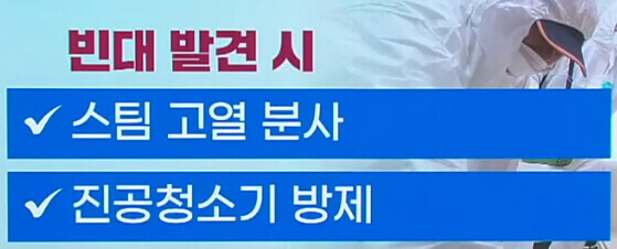  해외에서 유입 '빈대 (베드 버그)' 퇴치 제거 대처 방법 총정리