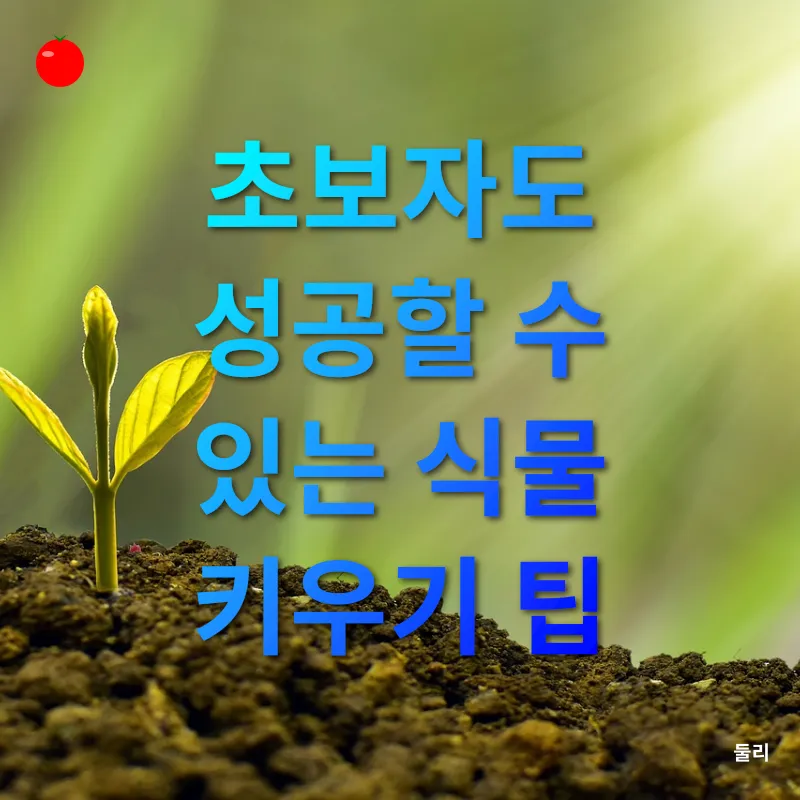 반려식물 키우기_2