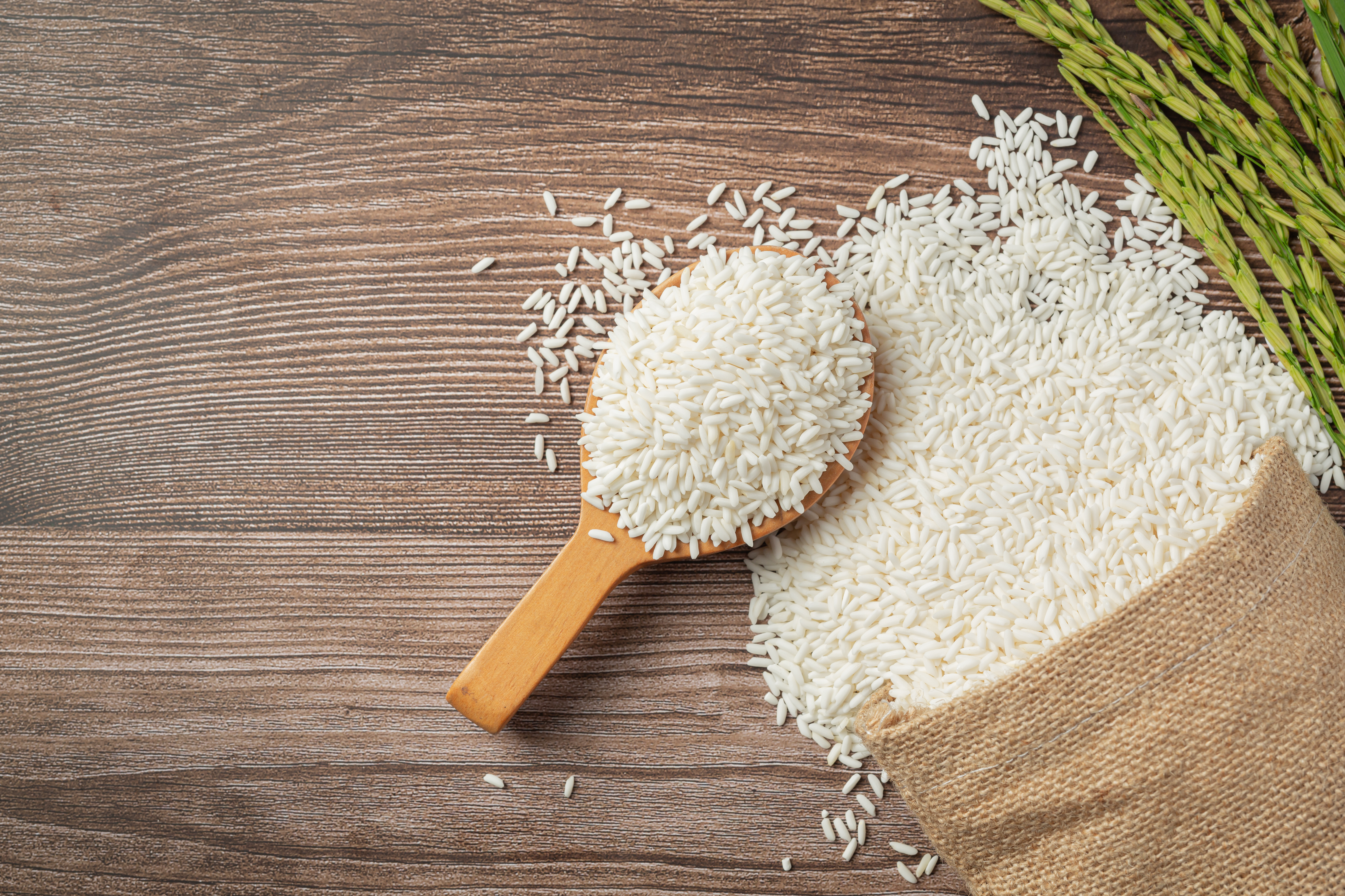 sack-rice-with-rice-wooden-spoon-rice-plant