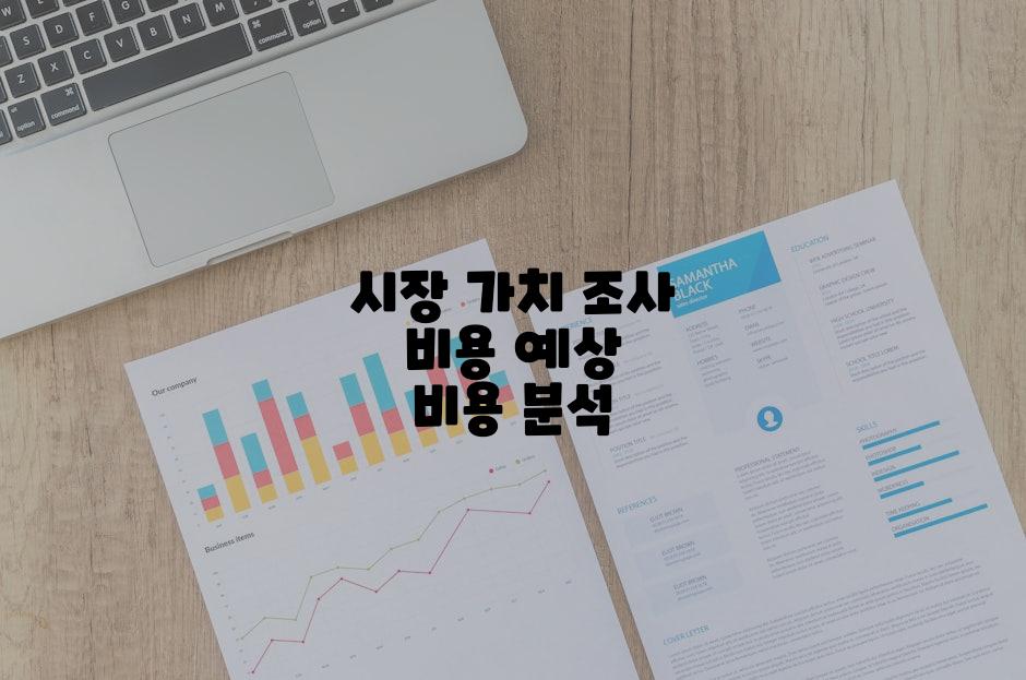 시장 가치 조사 비용 예상 비용 분석