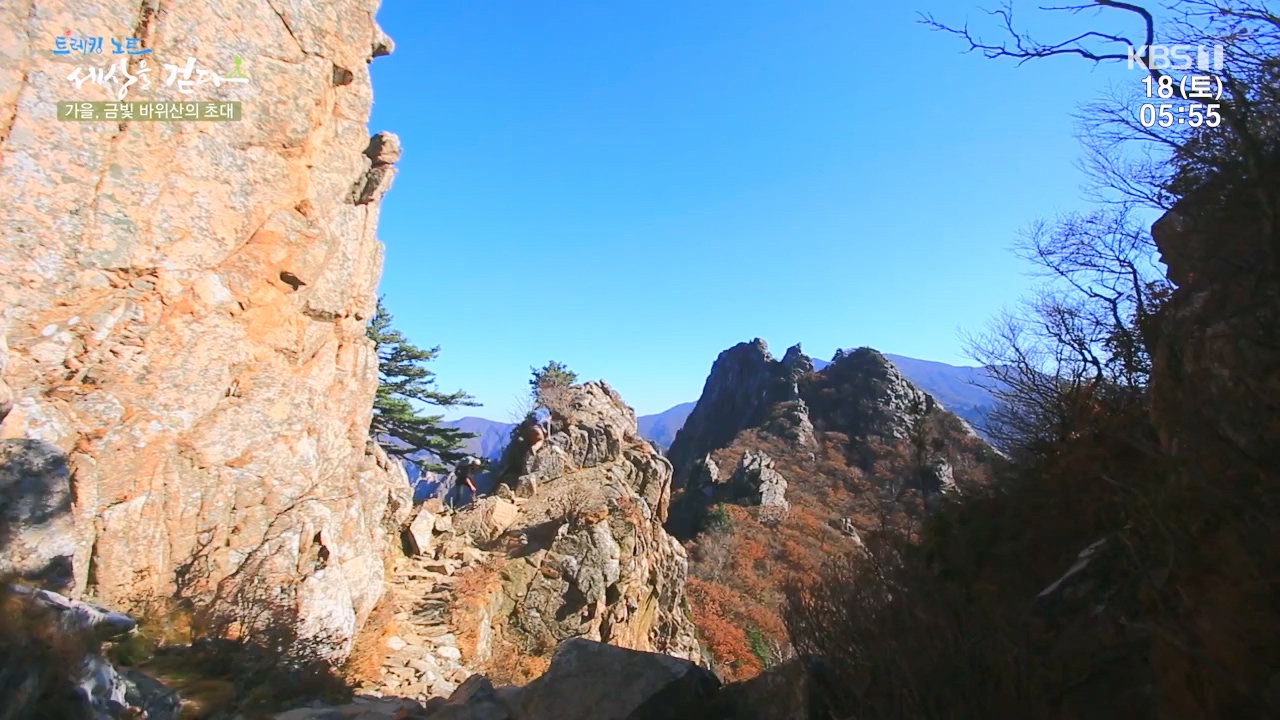 트레킹노트 세상을 걷다.E297.231119p-NEXT.mp4_20231123_212100.423.jpg