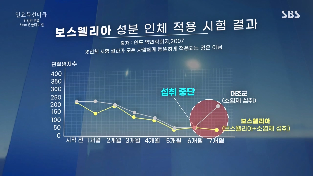 일요특선 다큐멘터리.E341.240318p-NEXT.mp4_20240317_190309.962.jpg