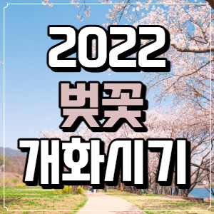 벚꽃-개화시기-2022