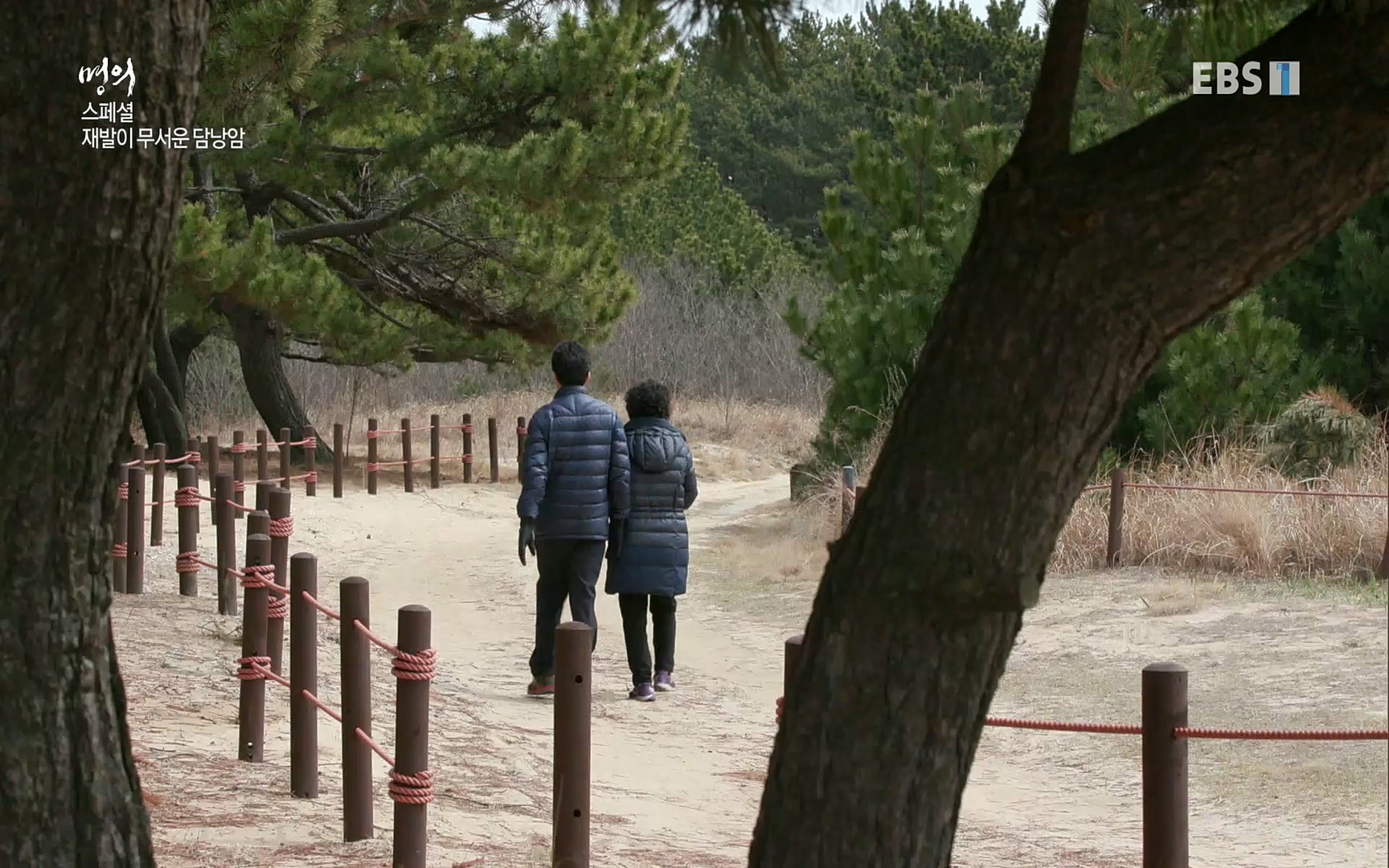 EBS 명의 헬스케어 - TV - 교육의 중심 EBS[명의 스페셜] 공포의 암, 췌장암, 담도암, 담낭암.mp4_20220902_210922.619.jpg