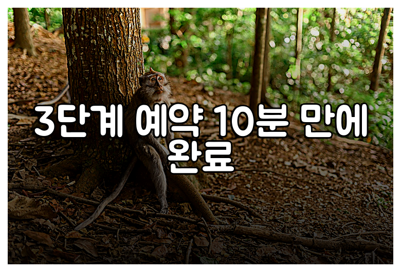3단계 예약 10분 만에 완료