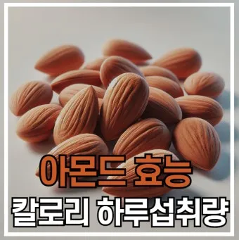 아몬드 효능 하루 섭취량 칼로리_20