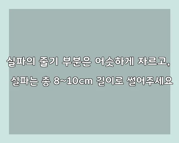 실파의 줄기 부분은 어슷하게 자르고, 실파는 총 8~10cm 길이로 썰어주세요