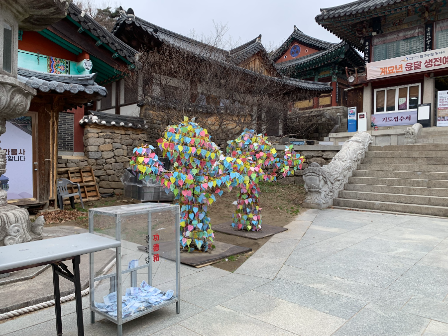 (리뷰) 대구 동화사 탐방, 벚꽃정물, 벚꽃축제 정보 6