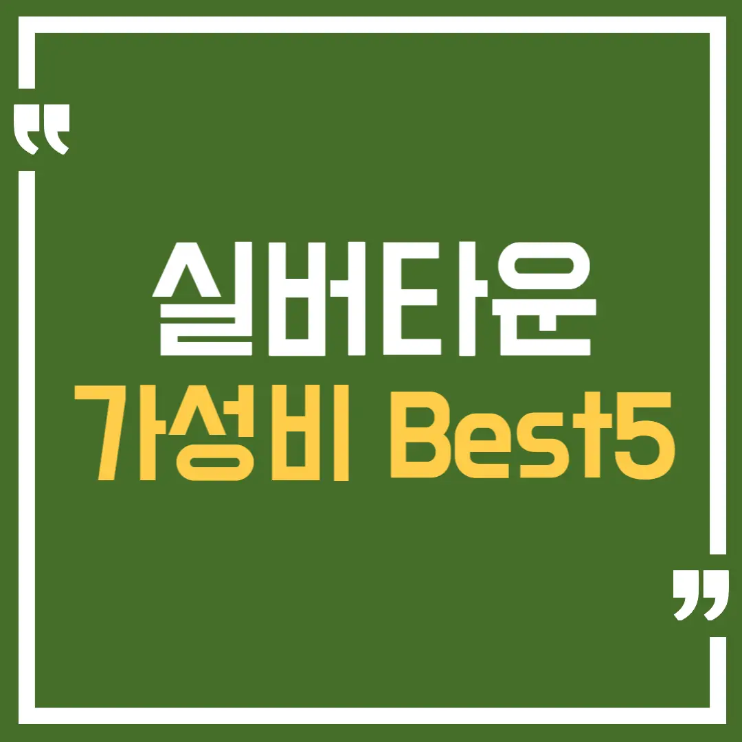 가성비 실버타운 Best5 추천