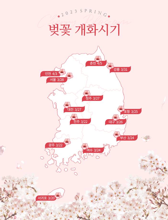 2023년 벚꽃 개화시기