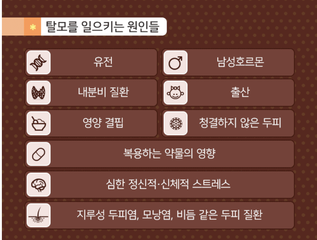 모발이식 비용 탈모치료 국비 지원 신청