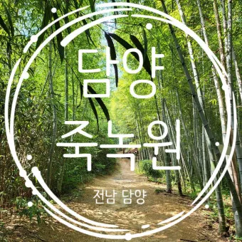 담양 죽녹원 소아르호텔 숙박 맛집_19