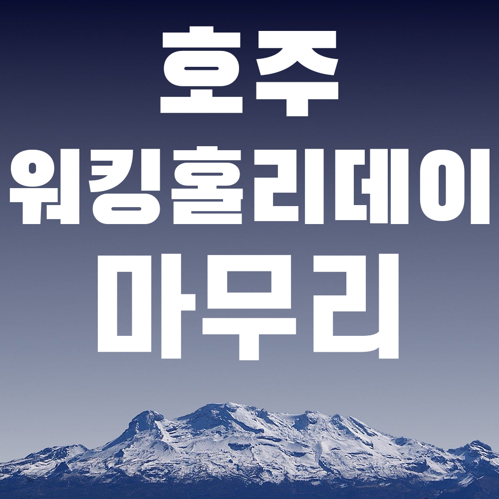  호주 워킹홀리데이 마무리