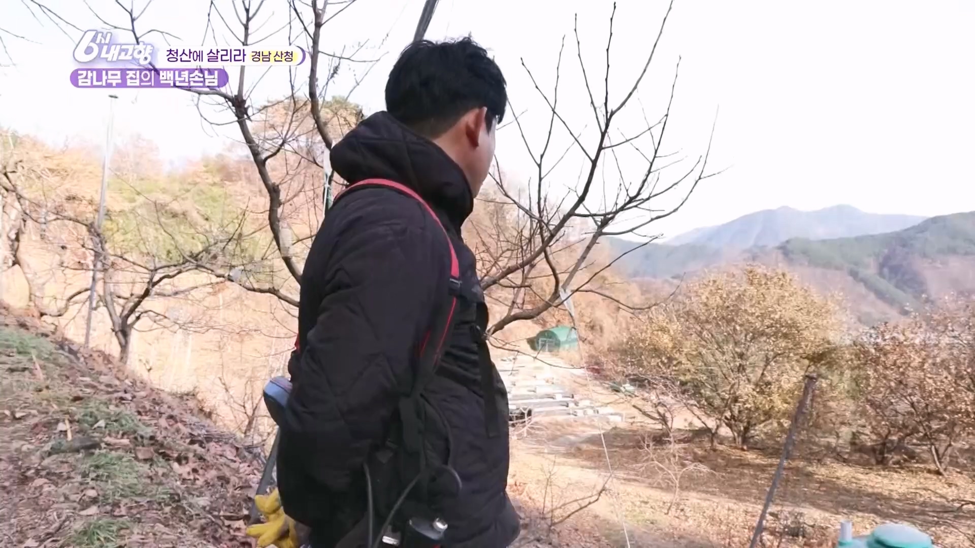 6시 내고향.E7929.231207p.H264-F1RST.mp4_20231208_200359.403.jpg