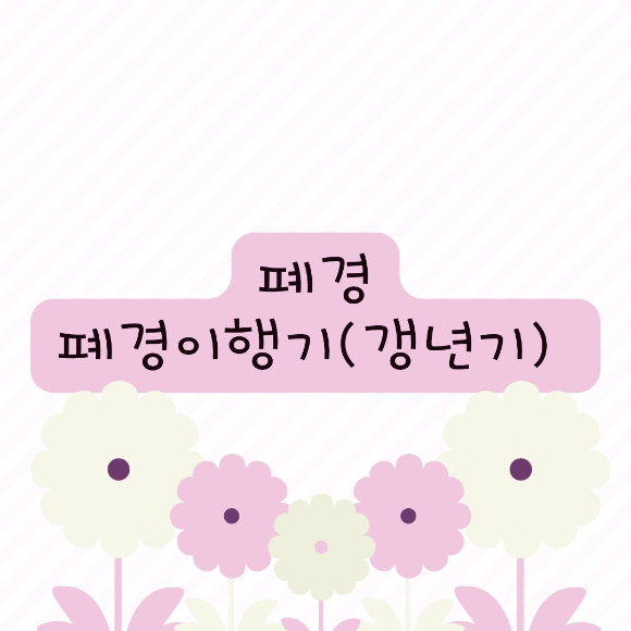 폐경&#44; 폐경 이행기&#44; 갱년기