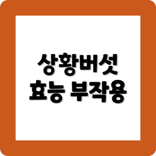 상황버섯의효능