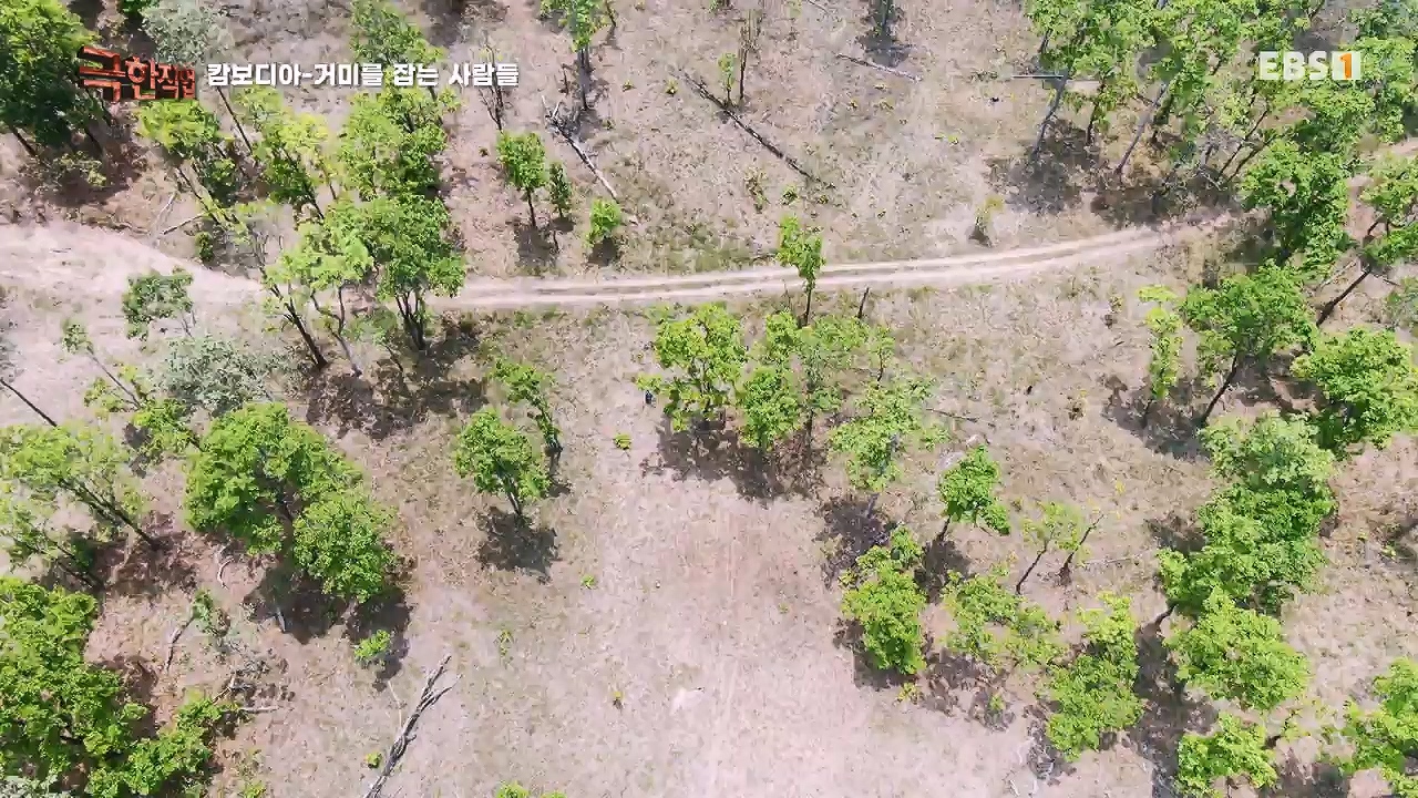 TV - 전 국민의 평생학교 EBS캄보디아 - 독충을 잡는 사람들.mp4_20230501_173400.807.jpg