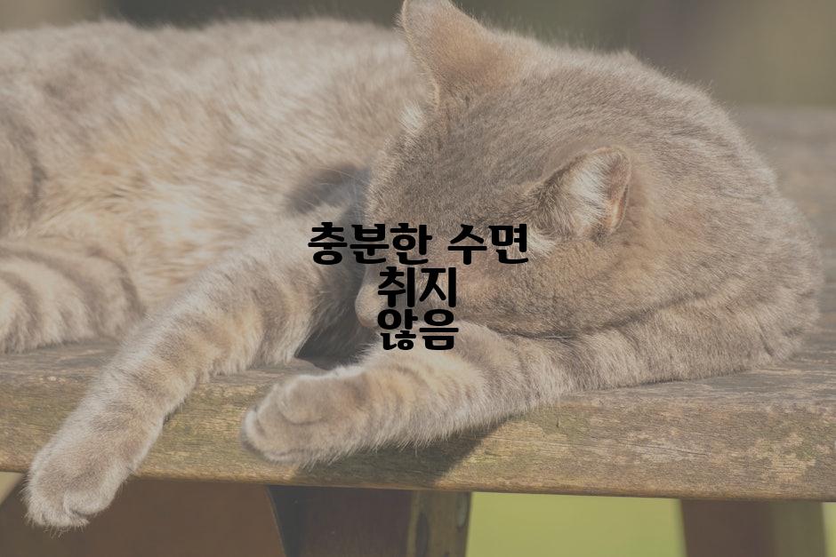충분한 수면 취지 않음