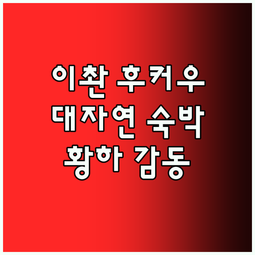 이촨 후커우 다위 산장 숙박 후기 황