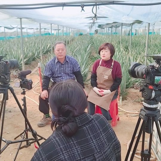 촬영 부부별곡 생 알로에 화분 청 식초 체험학습 슬라임 쌀강정 만들기 추천