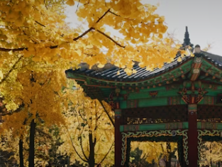 서울사진
