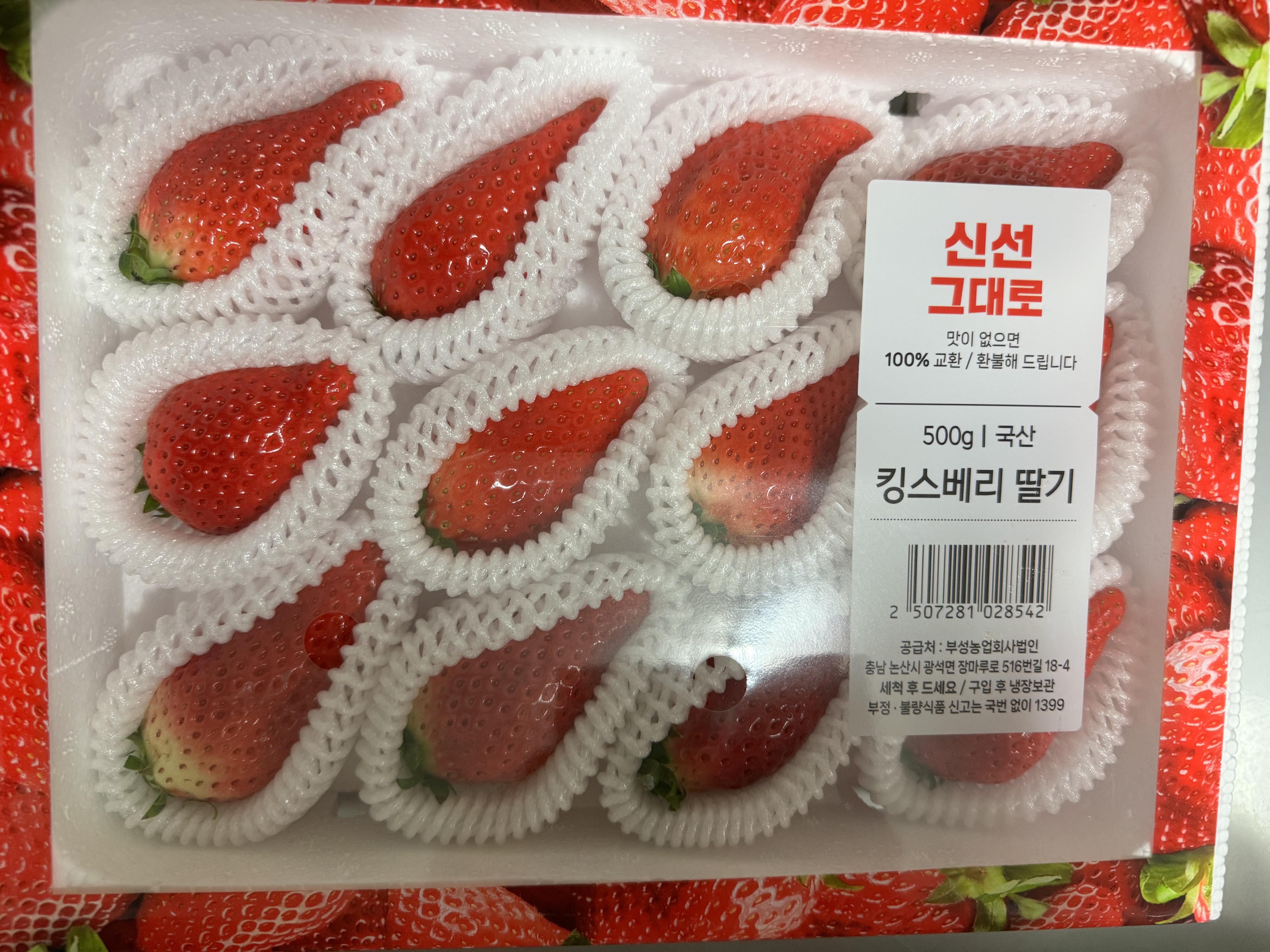 2024 논산 딸기 축제 킹스베리 딸기