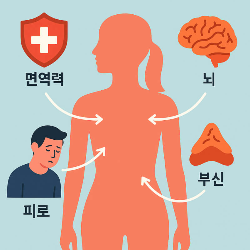 비타민 B5가 면역력, 스트레스, 신경계에 미치는 영향