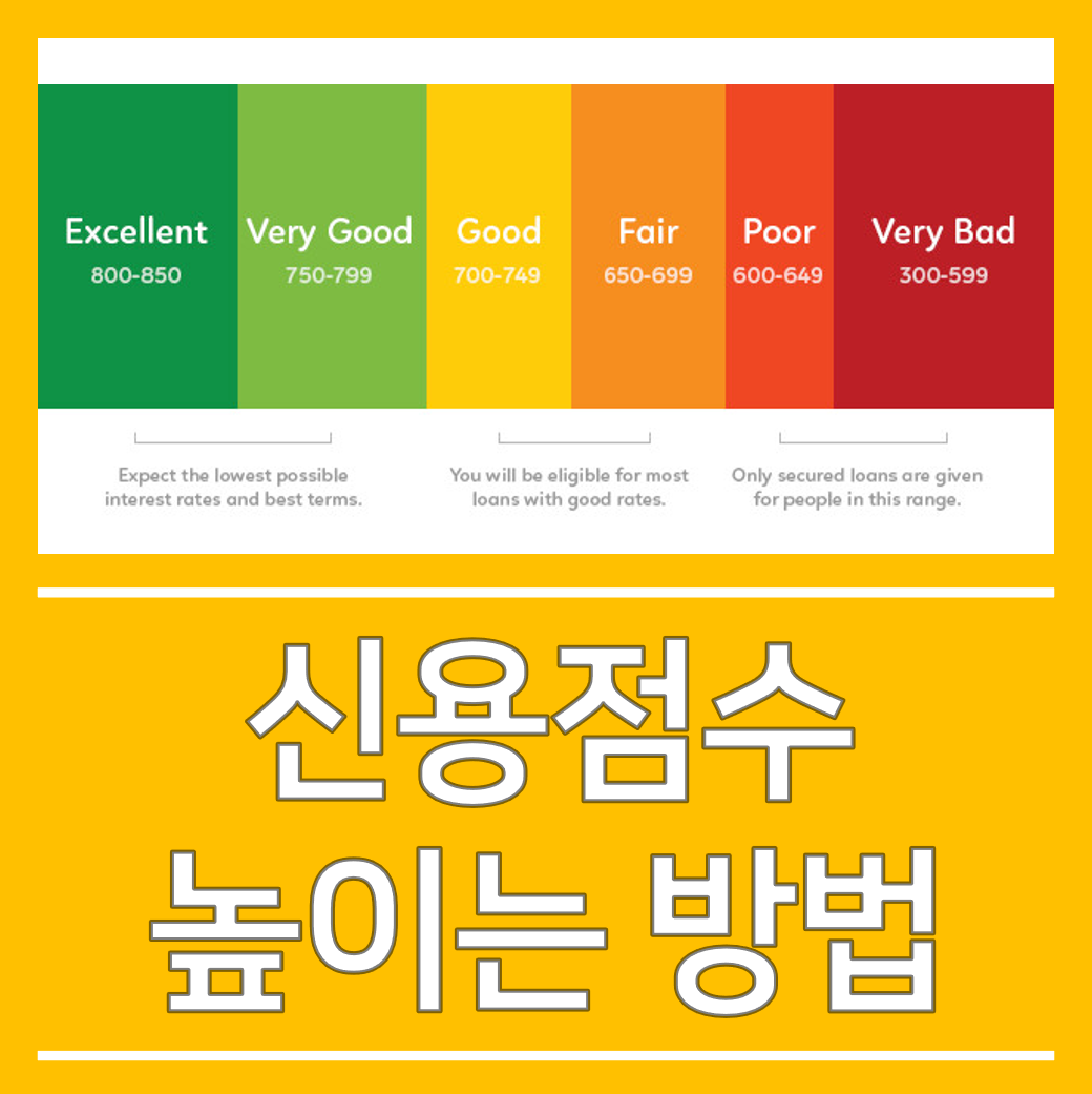  나만의 신용점수 높이는 방법 (실제 후기!)