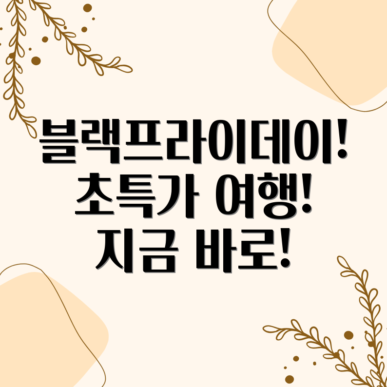 인터파크투어 블랙프라이데이