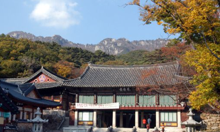 12월 대구 가볼 만한 곳 ❘ 국내 겨울 여행지 ❘ 크리스마스 연말 추천 데이트 명소