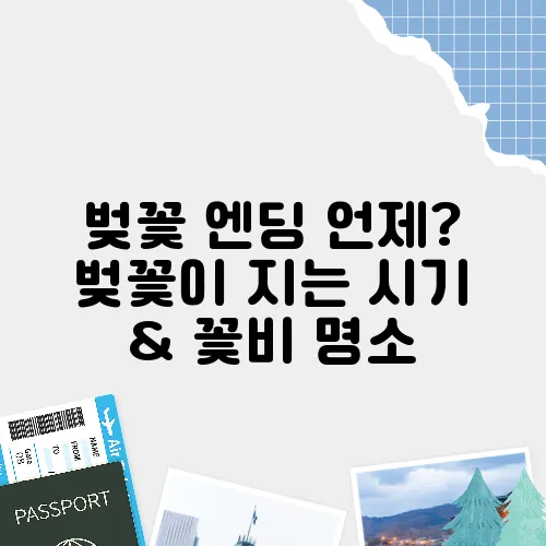 벚꽃 엔딩 언제? 벚꽃이 지는 시기 & 꽃비 명소