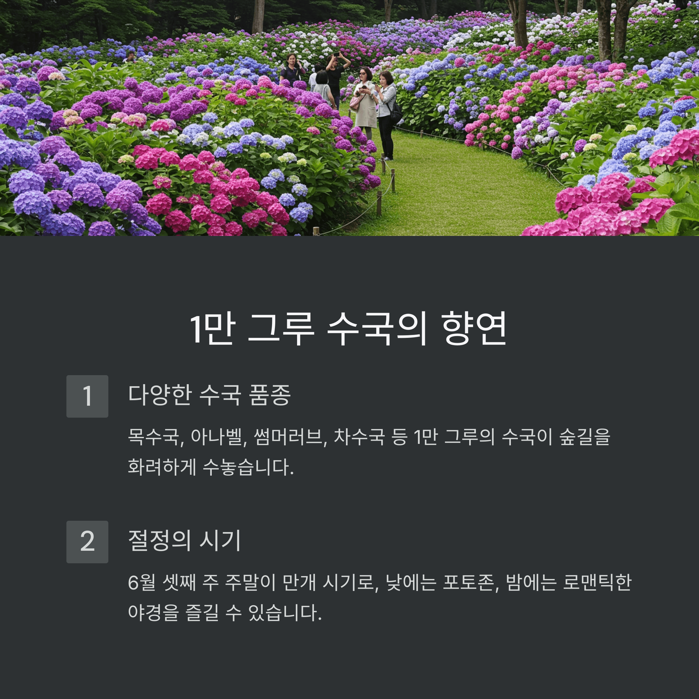 진주 월아산 수국 축제: 경남 수국축제 여행 가이드