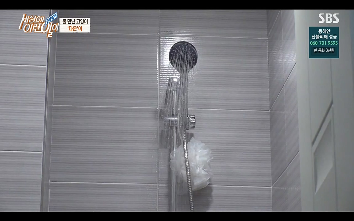 순간포착 세상에 이런일이.E1171.220316p-NEXT.mp4_20220316_184918.041.jpg
