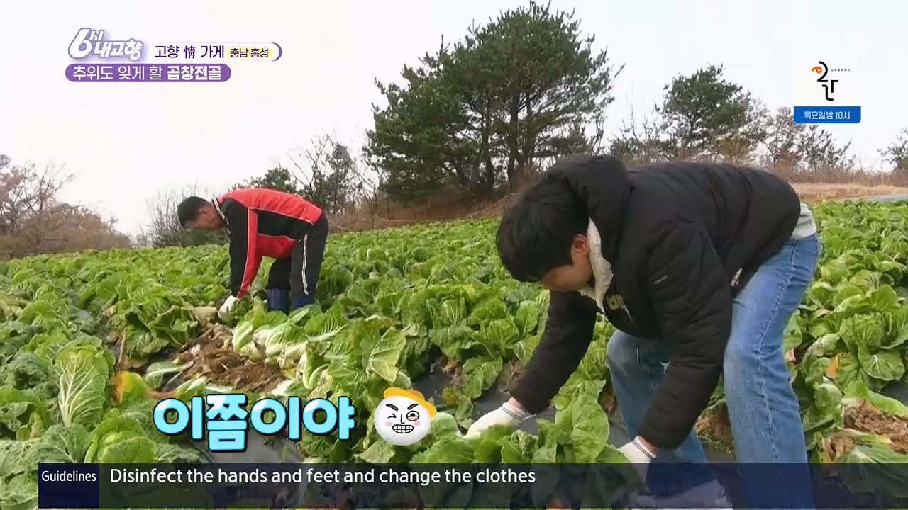 6시 내고향.E7922.231129p.H264-F1RST.mp4_20231129_203832.364.jpg