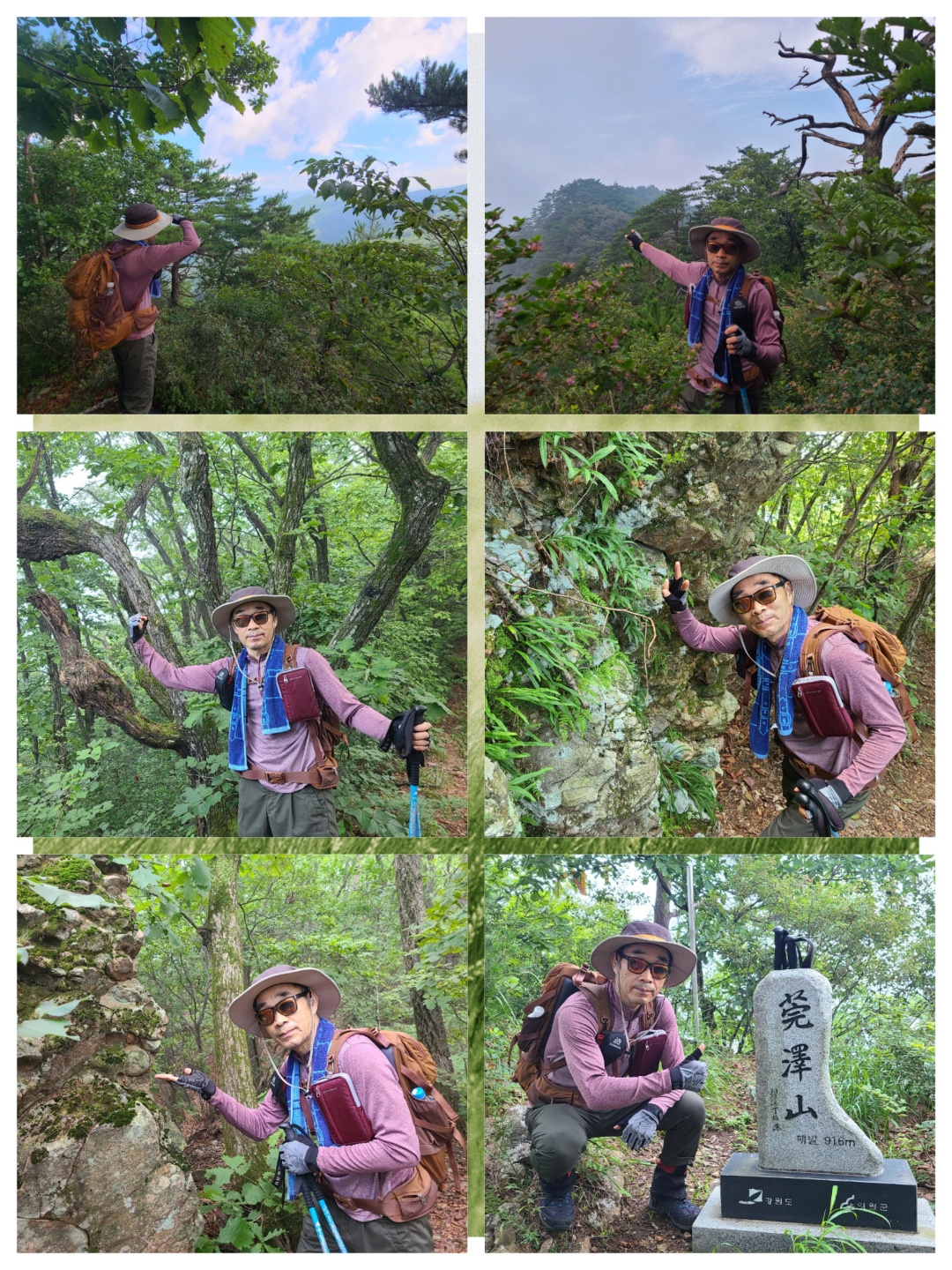 완택산 이미지