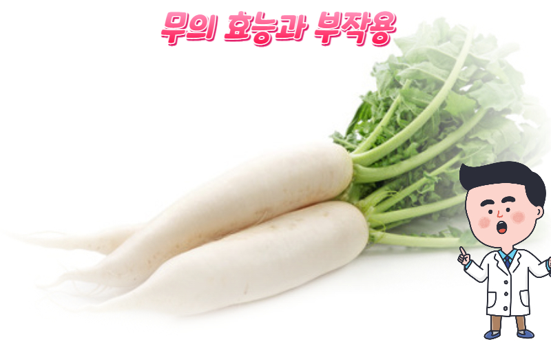  기침과 가래에 좋은 무의 효능과 부작용