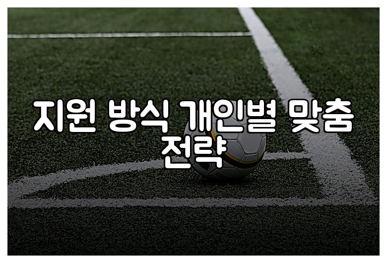 지원 방식 개인별 맞춤 전략