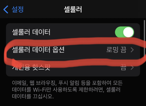 셀룰러-데이터-옵션-선택