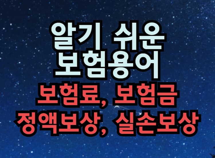  알기쉬운 보험용어 뜻과 차이점 비교