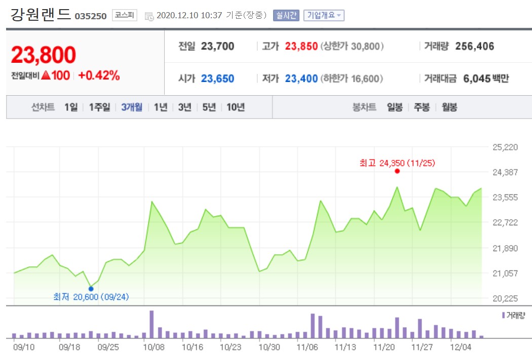  강원랜드 주가 회복세! 반가운 소식. 적자지만 배당금도 나올 수 있다고?