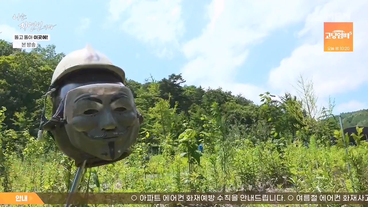 나는 자연인이다.E614.240718p-NEXT.mp4_20240718_195139.860.jpg