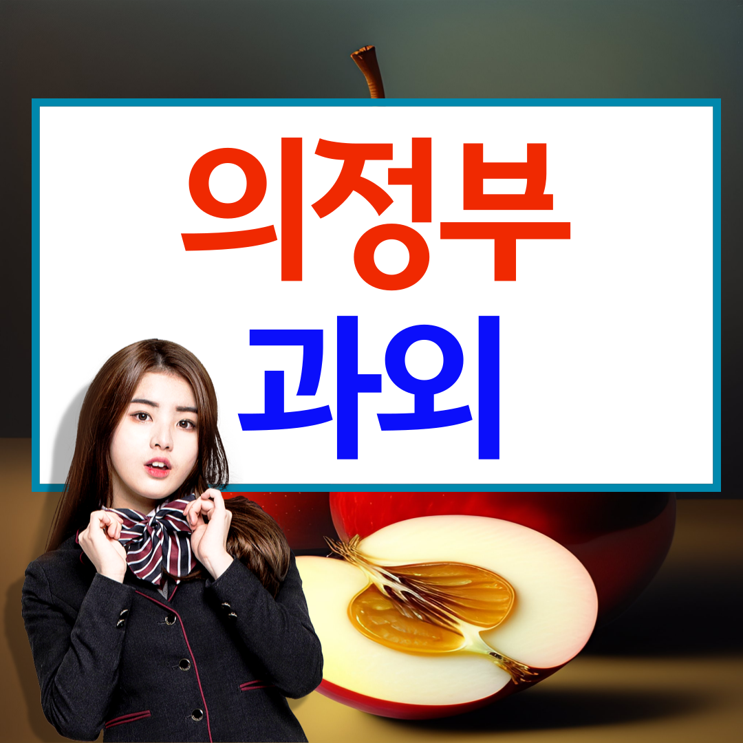  의정부 장암지구 중등 수학과외 금오동 영어과외 고등 입시준비