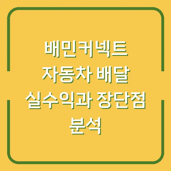 배민커넥트 자동차 배달 실수익과 장단점 분석